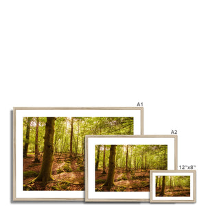 Forest 8 Framed & Mounted Print