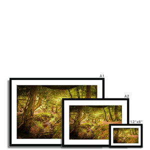 Forest 6 Framed & Mounted Print