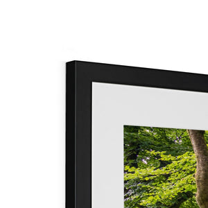 Green forest landscape