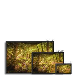 Forest 6 Framed Canvas