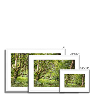 Green forest landscape