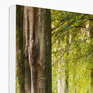 Forest 18 Canvas