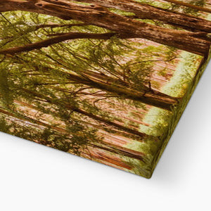 Forest 2 Canvas