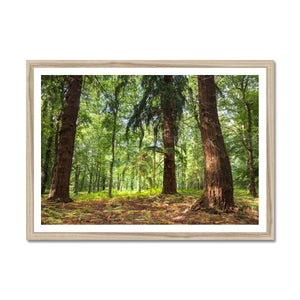 Stand together Framed Print