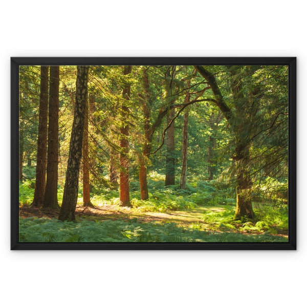 Forest 15 Framed Canvas