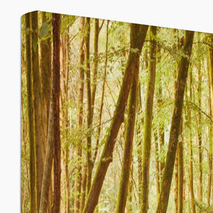 Forest 11 Canvas