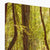 Forest 10 Canvas