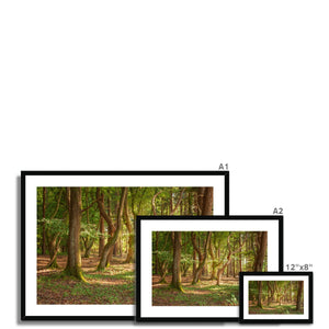 Forest 19 Framed & Mounted Print