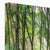 Bolderwood 2 Canvas