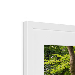 Green forest landscape