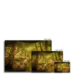 Forest 6 Canvas