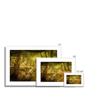 Forest 6 Framed & Mounted Print