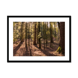 Casting shadows Framed & Mounted Print