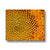 Sun flower 1 Canvas