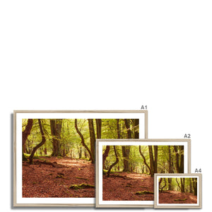 Forest 10 Framed Print