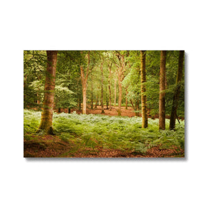 Forest 13 Canvas