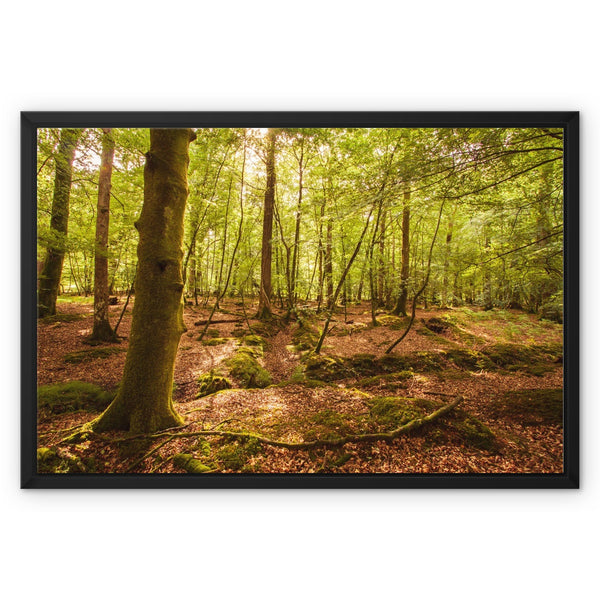 Forest 8 Framed Canvas