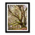 Acres gardian 2 Framed Print