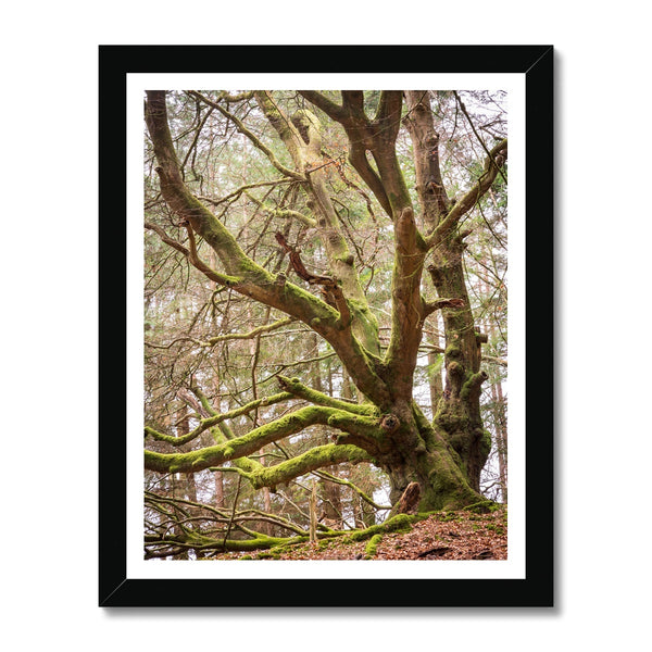 Acres gardian 2 Framed Print