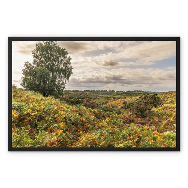 Seasons valley Framed Canvas