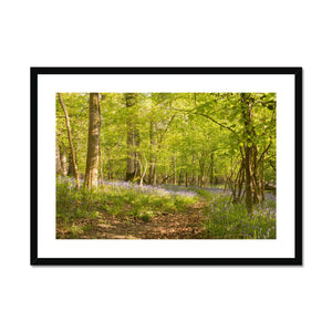 Bluebell path Framed & Mounted Print