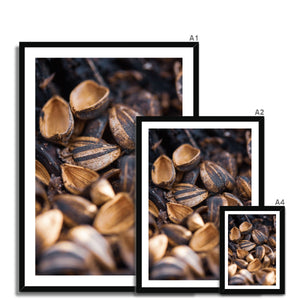 Sun Flower seeds 3 Framed Print