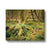 Forest 22 Canvas