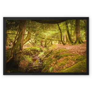 Forest 6 Framed Canvas