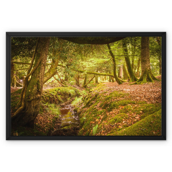 Forest 6 Framed Canvas