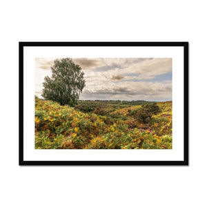 Seasons valley Framed & Mounted Print