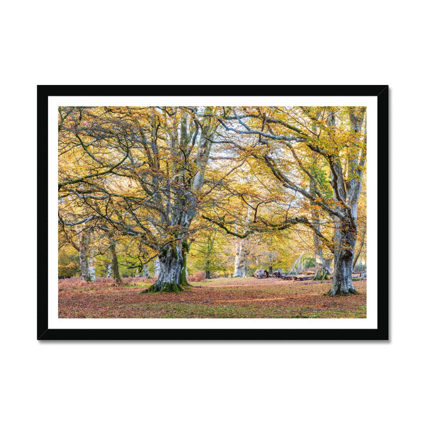 Church moor Framed Print