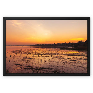 Sunset 5 Framed Canvas