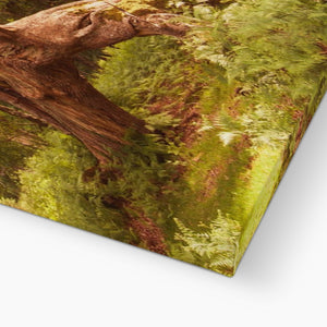 Forest 4 Canvas