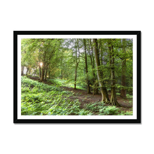 Puckpits valley 2 Framed Print