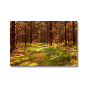 Forest 16 Canvas