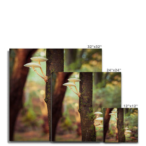 Forest 28 Canvas