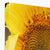 Sun Flower 2 Canvas