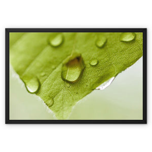 Leaf Macro 2 Framed Canvas