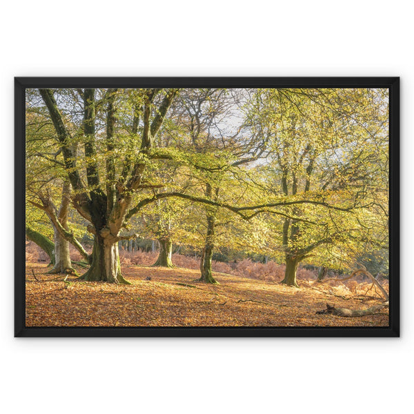 Pound hill Framed Canvas