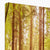 Forest 5 Canvas