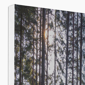 Bolder pines Canvas