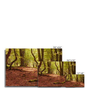 Forest 10 Canvas