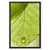 Leaf Macro 1 Framed Canvas