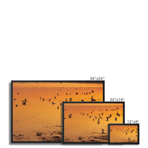 Sunset 6 Framed Canvas