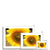 Sun Flower 2 Framed & Mounted Print