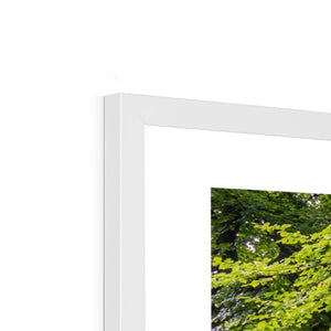 Green forest landscape