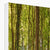 Forest 21 Canvas