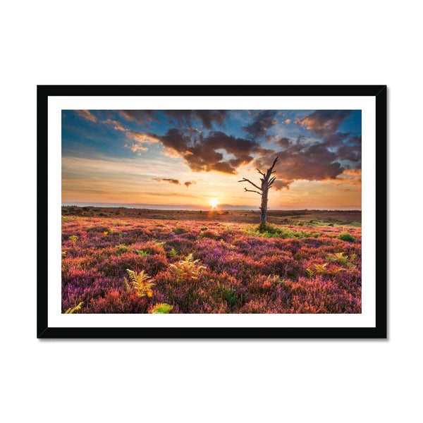 Sunset 2 Framed Print