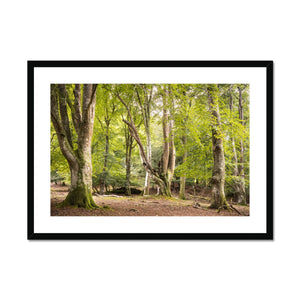 Bolderwood 5 Framed & Mounted Print