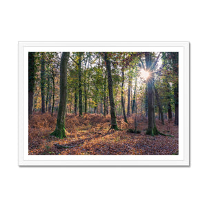 Catching light Framed Print